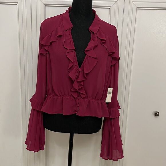 Anthropologie Plum Button Front Blouse size large. FIRM ON PRICE as I love this! - Picture 3 of 8